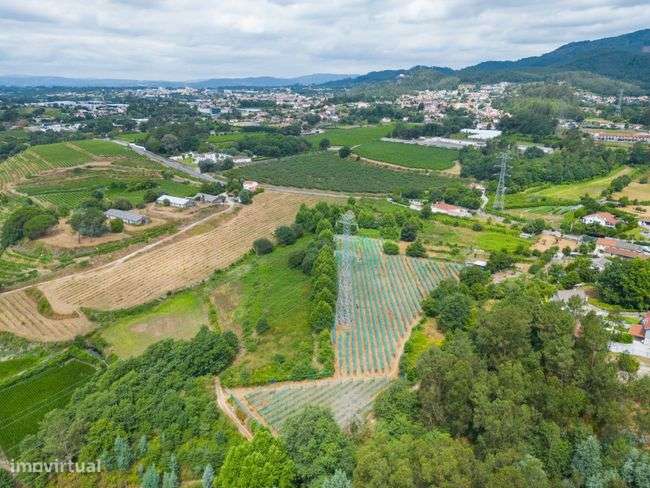 Terreno Agrícola - Figueiredo, Amares-7