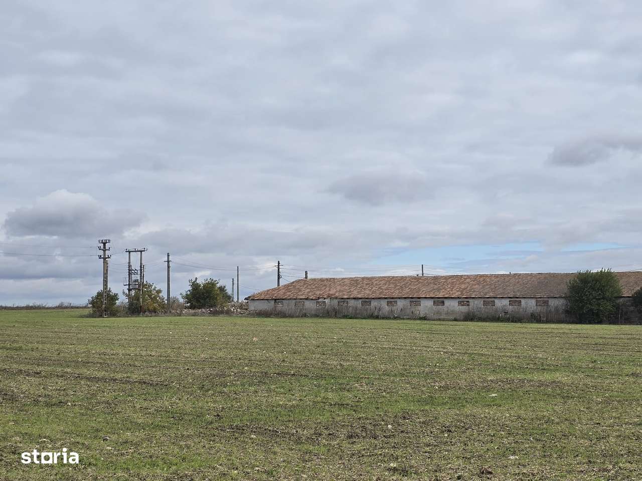 Comuna Amzacea- sat G.Scărișoreanu -Fermă zootehnică ,  teren 5,1ha-11