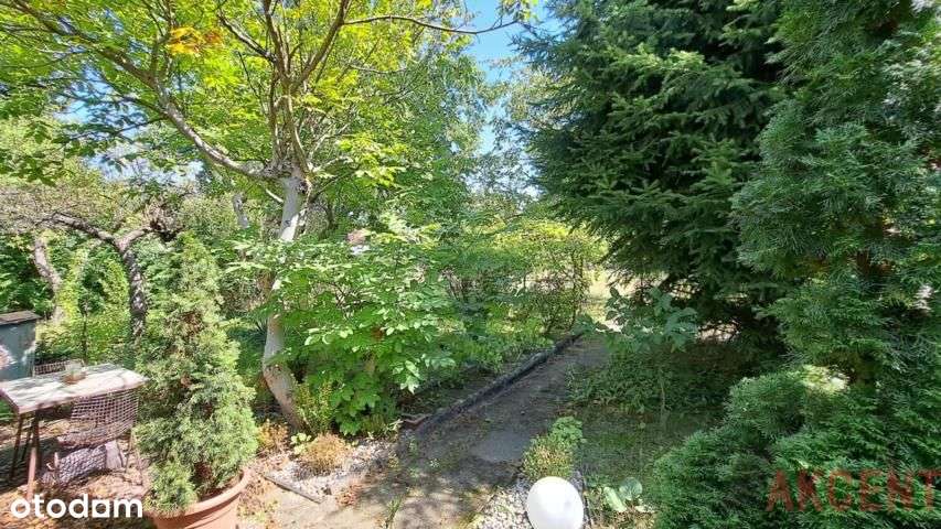 Działka w Brwinowie bliżej Podkowy Leśnej-2