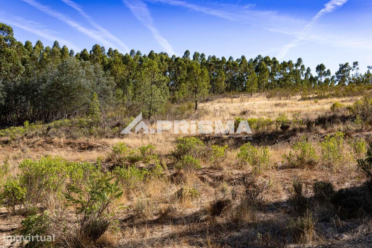 Terreno Rústico para venda em Palvarinho, Castelo Branco - Grande imagem: 5/19