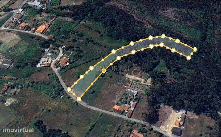 Terreno para semeadura - 27 metros de frente - Grande imagem: 4/4