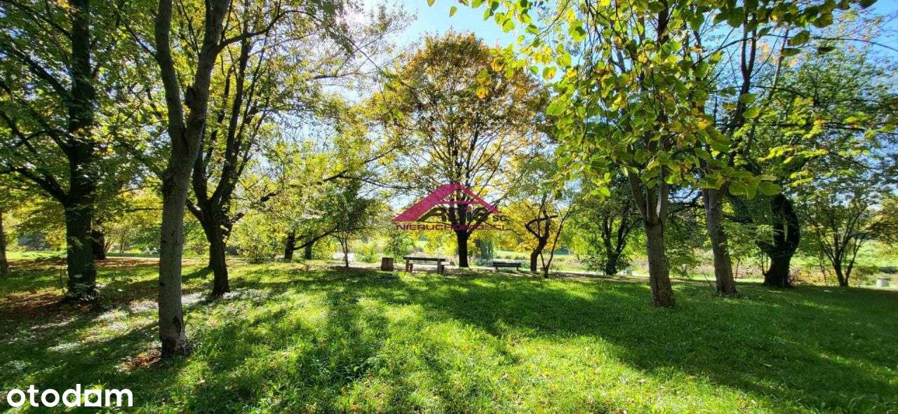 Rezydencja Stanisława Augusta-5