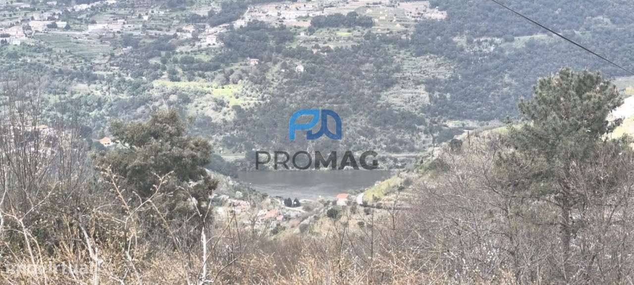 Terreno Urbanizável de 7959 m² com Armazém-20