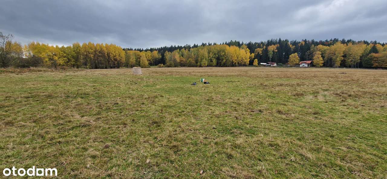 Działki budowlane widokowe, piękna okolica, sprzedam, gmina Szczytna - Pełny obrazek: 4/19