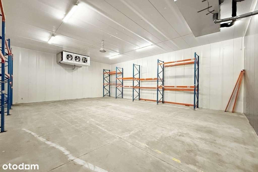 Magazyn chłodnia z biurem i dużym placem. - Pełny obrazek: 4/12