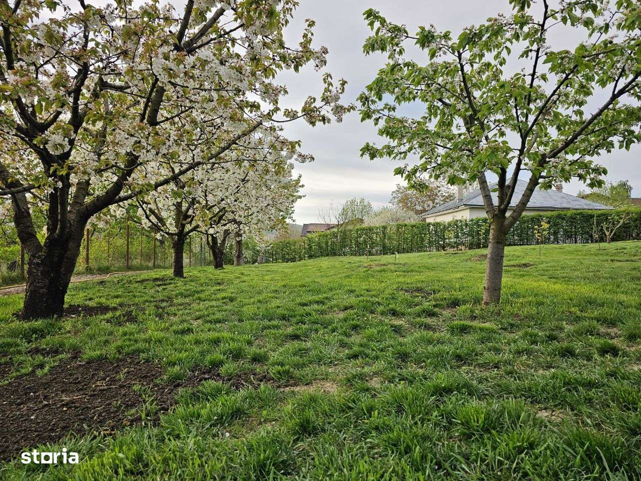 Teren 400- 600 mp Iasi Copou Al. Sadoveanu Viticultori - Imagine principală: 1/6