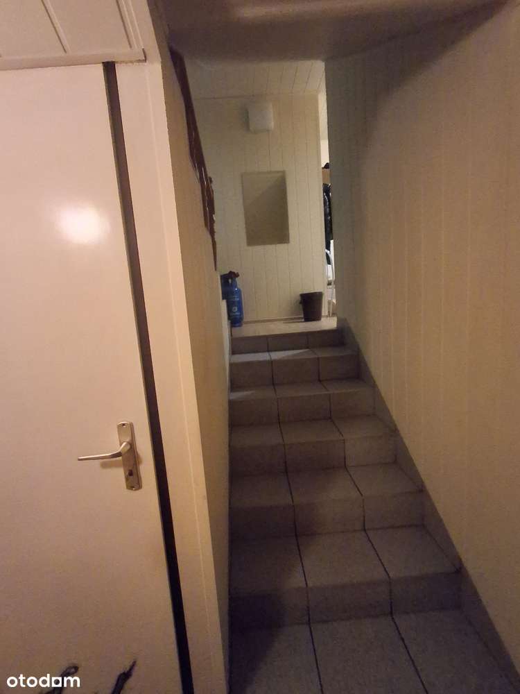 Do sprzedania dom 100m2 na działce 7300m2 w Mniowie-5