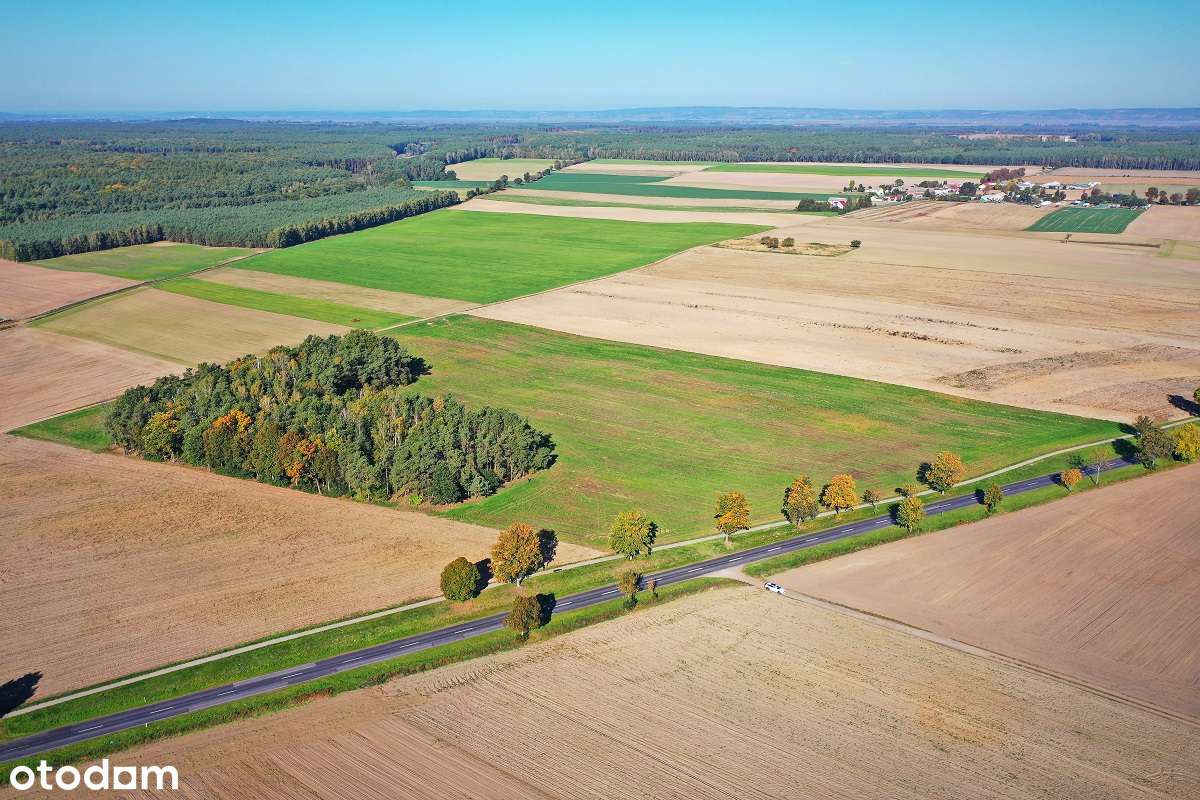 Działka budowlana - Margonin-9