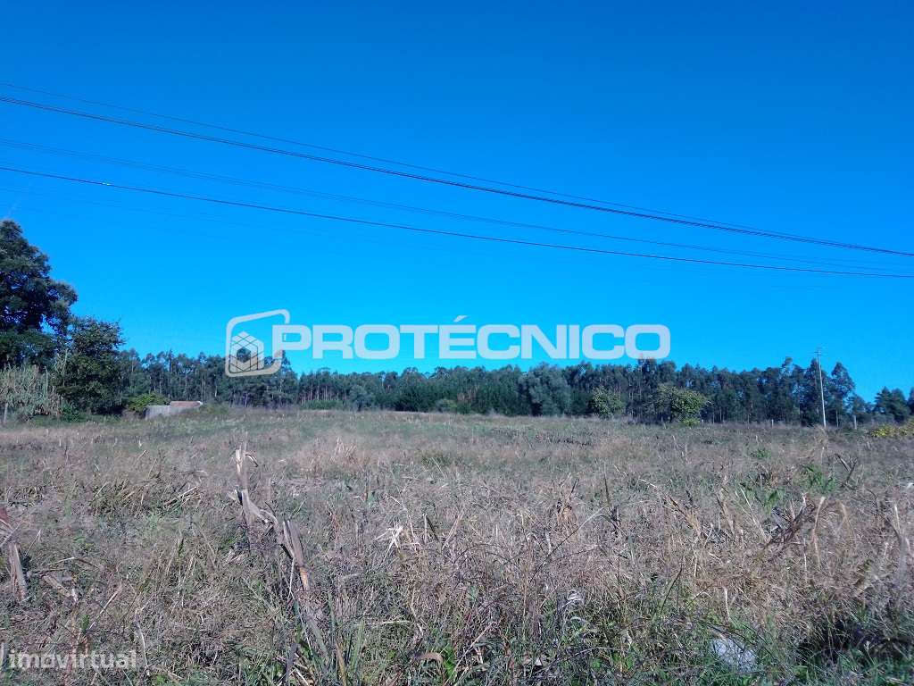 Terreno p/ construção de Moradias Isoladas - Oliveirinha - Grande imagem: 2/4