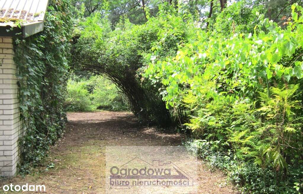 Dom w leśnej okolicy, 6 cio izbowy-13