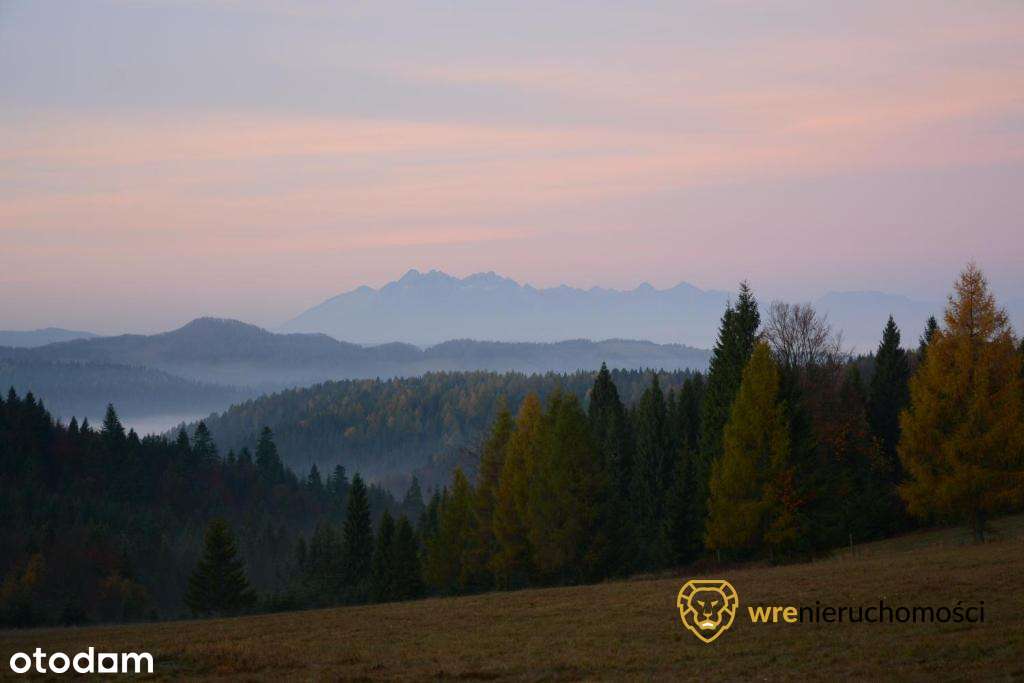 Inwestycyjnie - Dom pod lasem/Agroturystyka-15