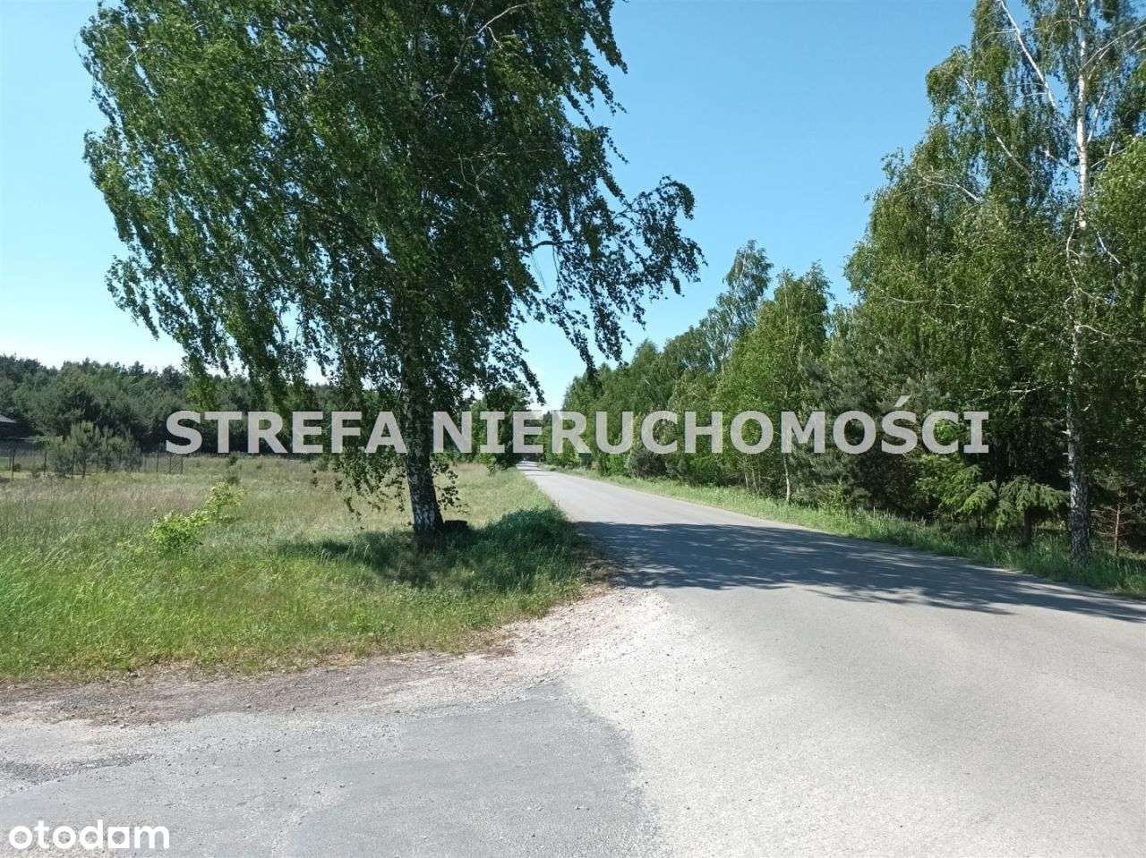 Lubiaszów Stary ! Działka W Otoczeniu Przyrody - Pełny obrazek: 5/6