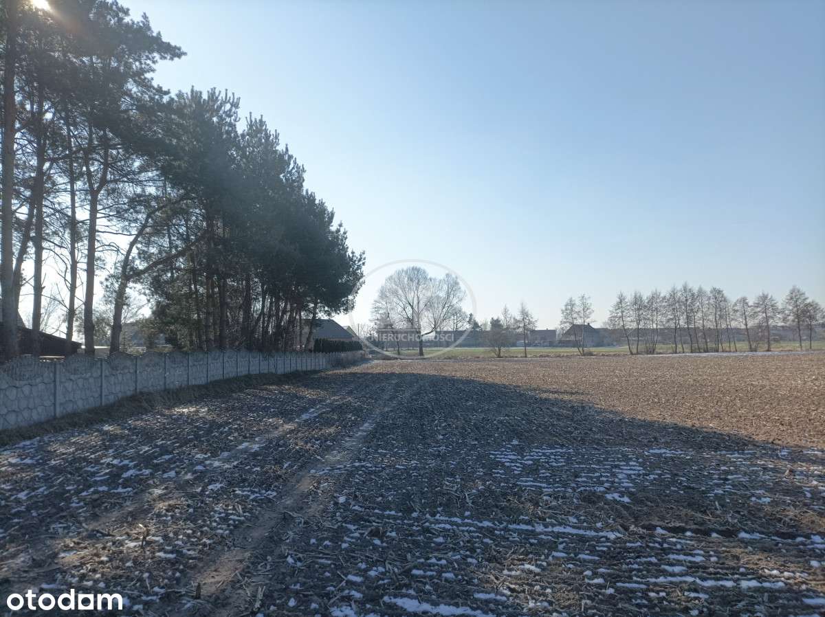 Działka idealna pod budowę wymarzonego domu - Pełny obrazek: 5/5