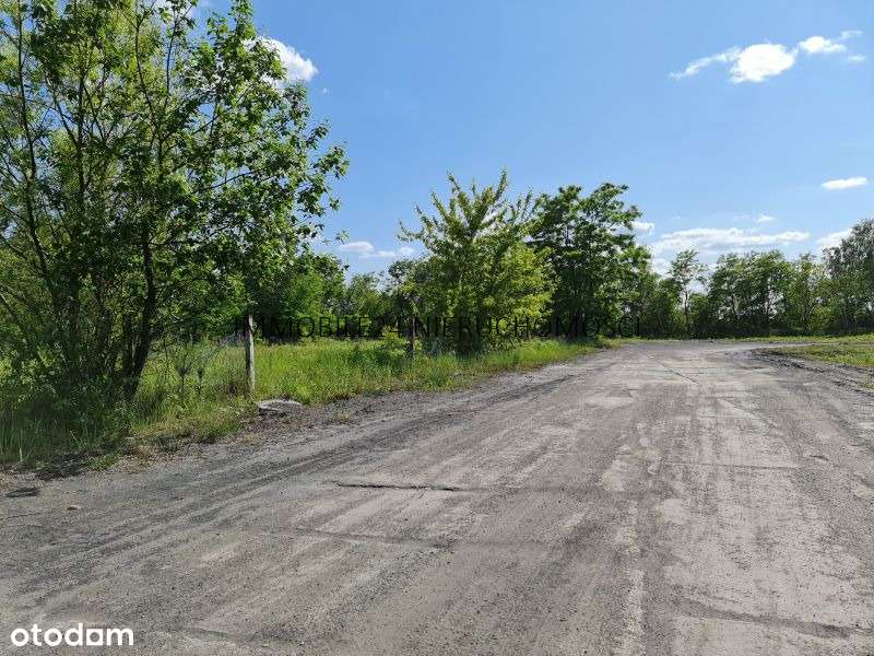 Doskonały teren pod hale, magazyny, bazy transportowe, logistykę - Pełny obrazek: 3/6