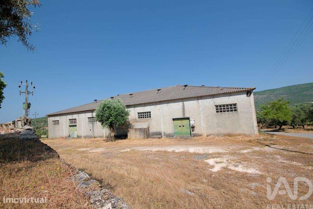 Armazém em Arrimal e Mendiga de 590,00 m2 - Grande imagem: 2/13