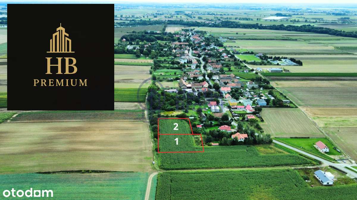 10 minut od Oleśnicy| Prąd na działce| - Pełny obrazek: 5/5