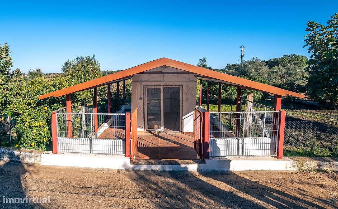 Quinta T10 para venda-43