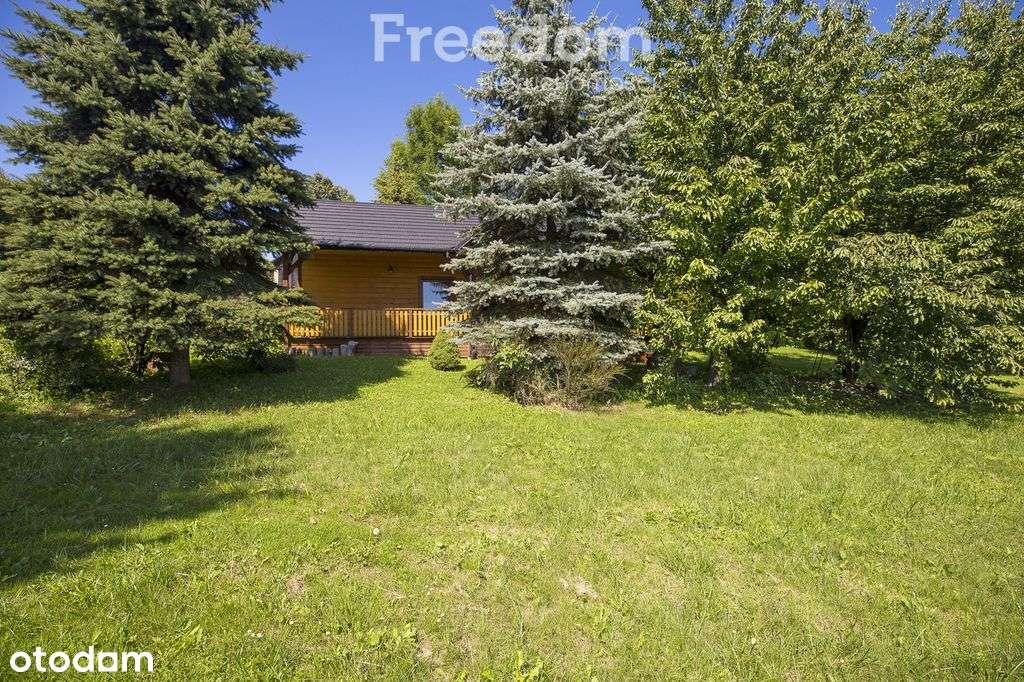 Dom z dużą działką 32 ar – Gębiczyna-19