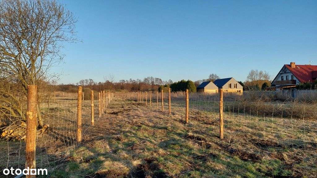 Działka budowlana w Wielgowie - Pełny obrazek: 4/5