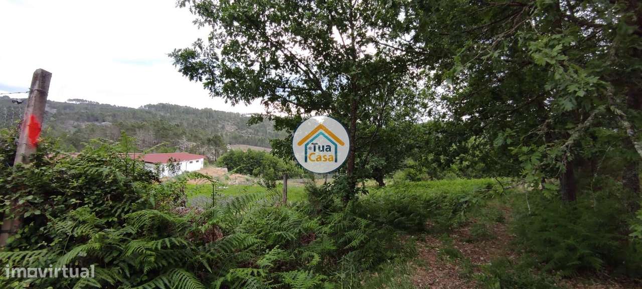 Terreno Rústico em Aguiar da Beira - Grande imagem: 5/21