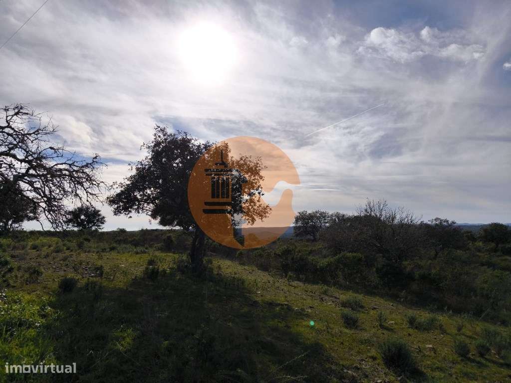 TERRENO RÚSTICO COM 8.880 M² - PLANO - PRÓXIMO À ELETRICIDADE - ODE... - Grande imagem: 3/18