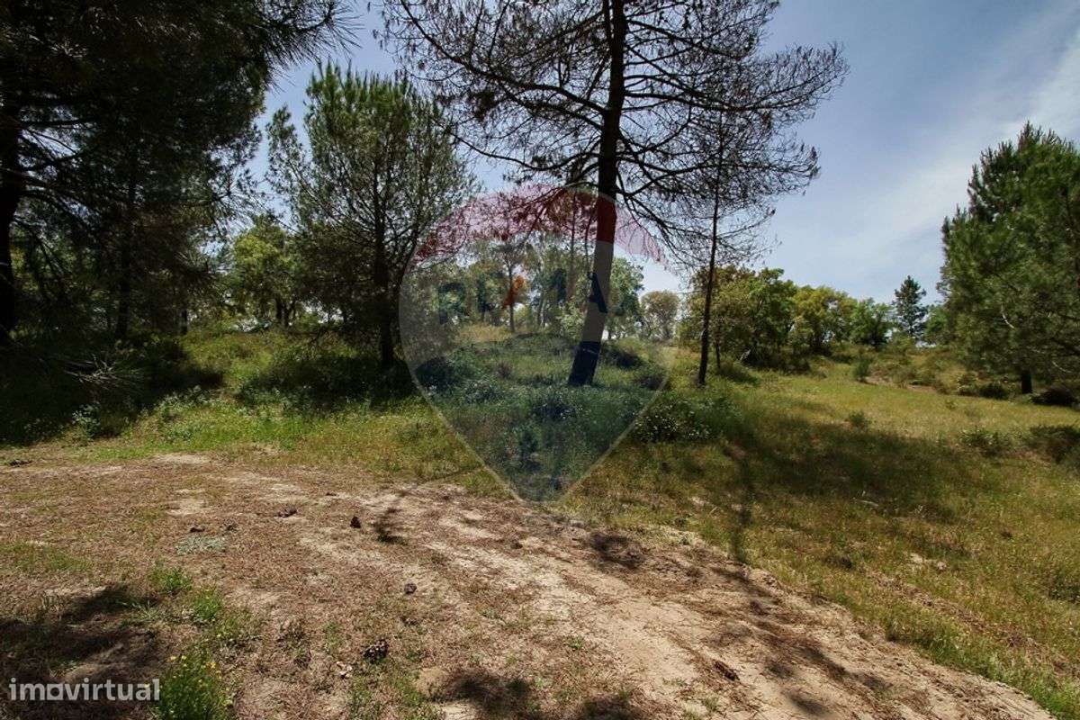 Terreno  para venda - Grande imagem: 5/12