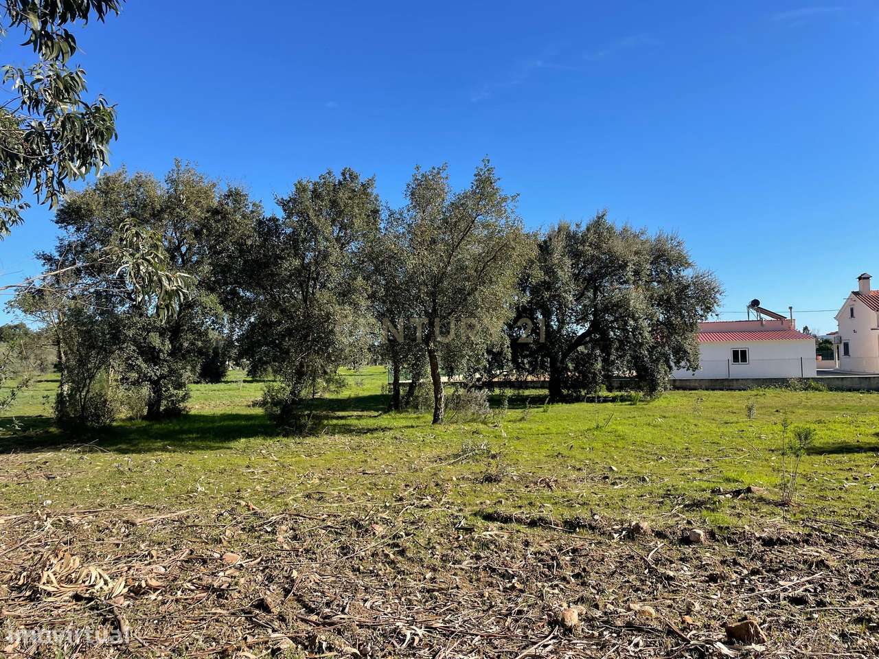 Terreno em Martinchel, Abrantes - Grande imagem: 3/13