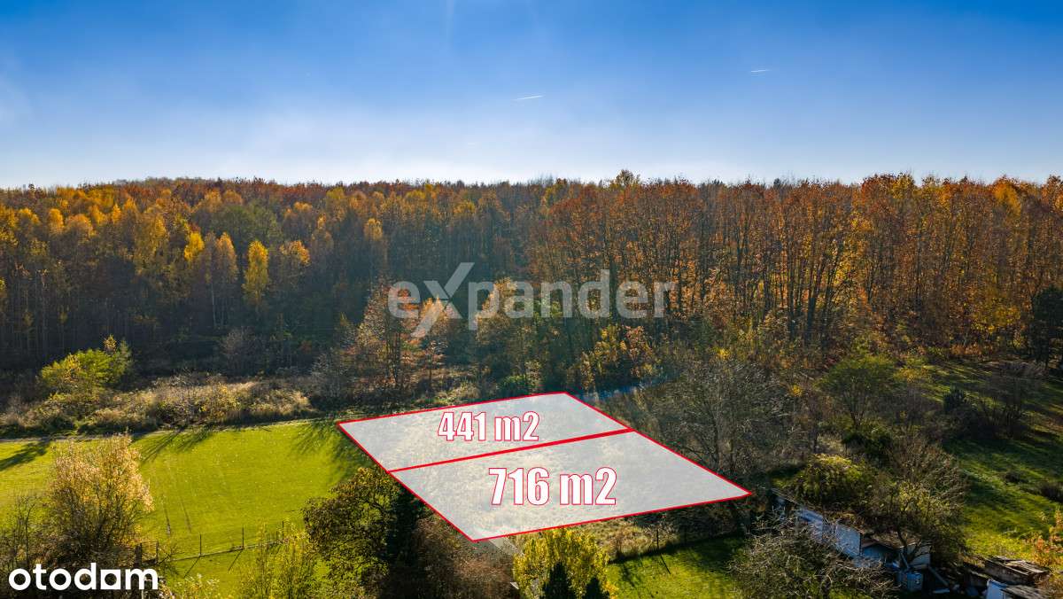 ul.. Jaśminowa/Brzozowa-granica Mikołowa i ŁaziskG - Pełny obrazek: 3/19