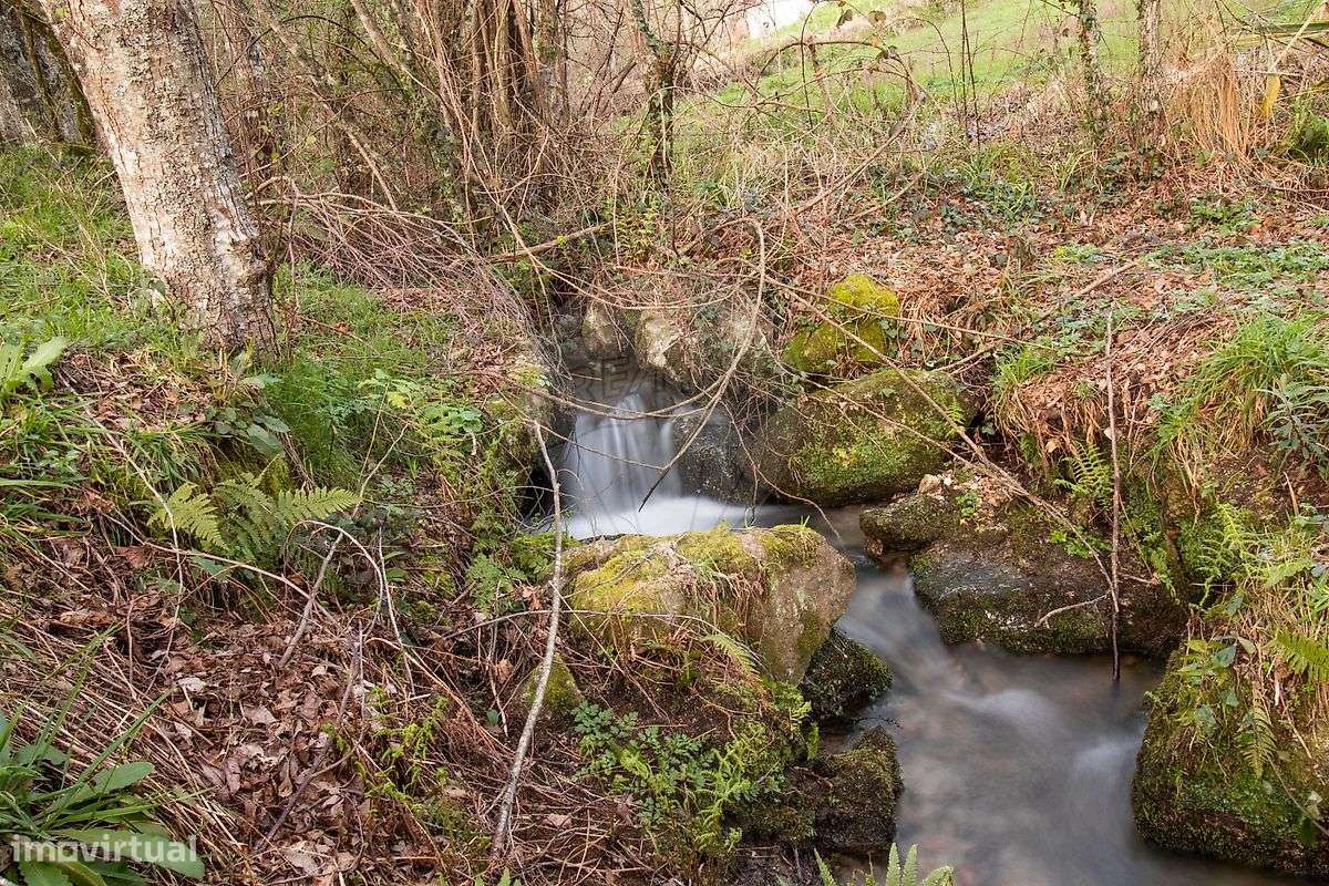 Quinta  para venda-12