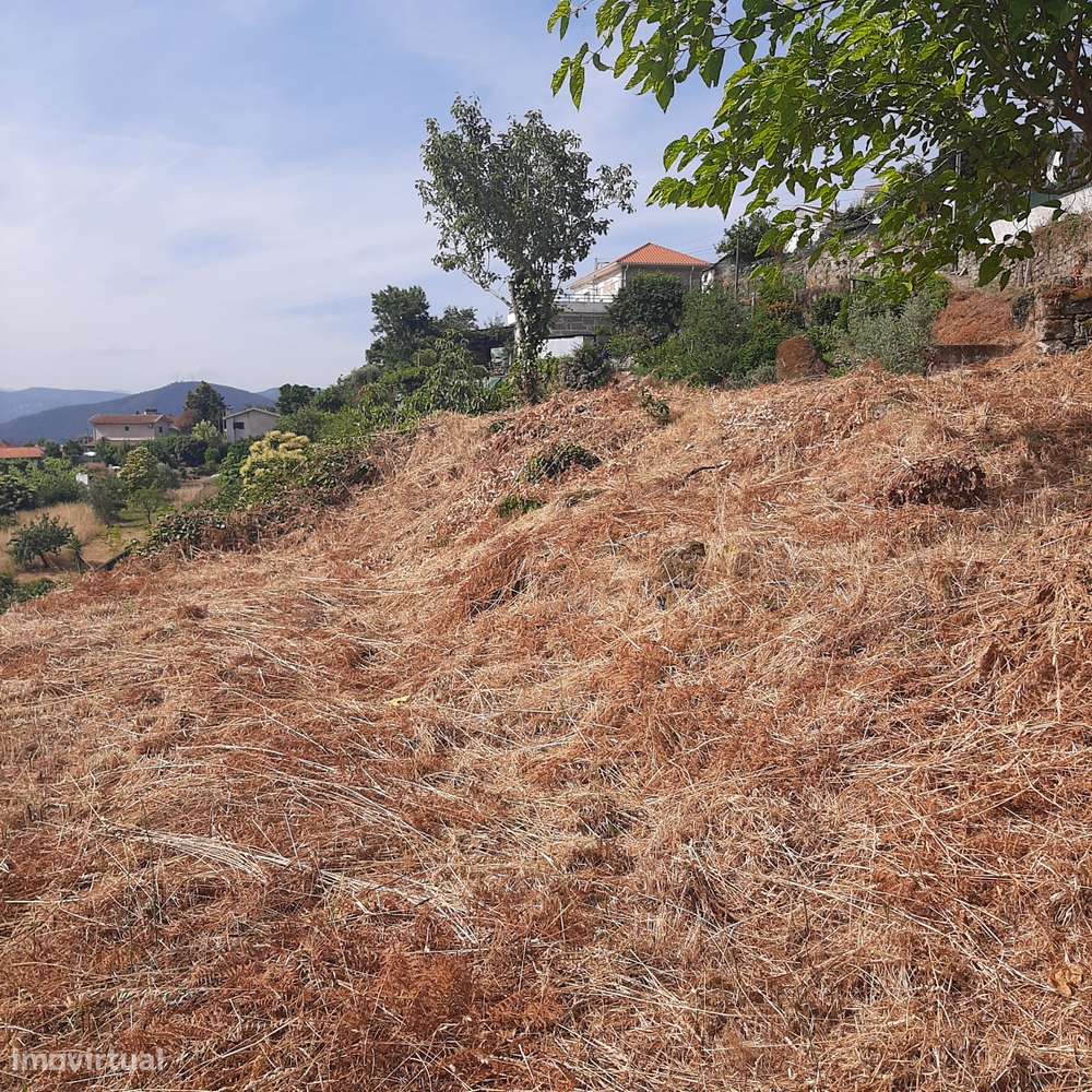 Casa em pedra para reconstruir Canelas Penafiel-7