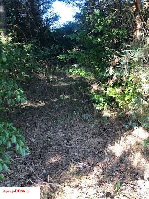 Władysławów(k.Siestrzeni),prąd,gaz,woda,budowlana,-5