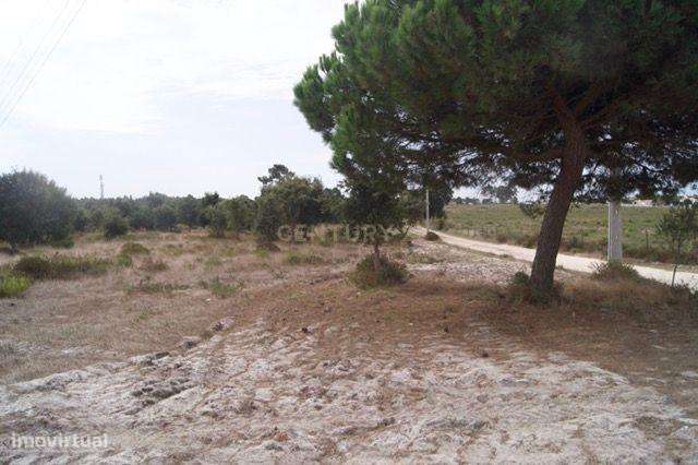 Terreno Rústico em Brescos - Vila Nova Sto. André - Grande imagem: 5/15