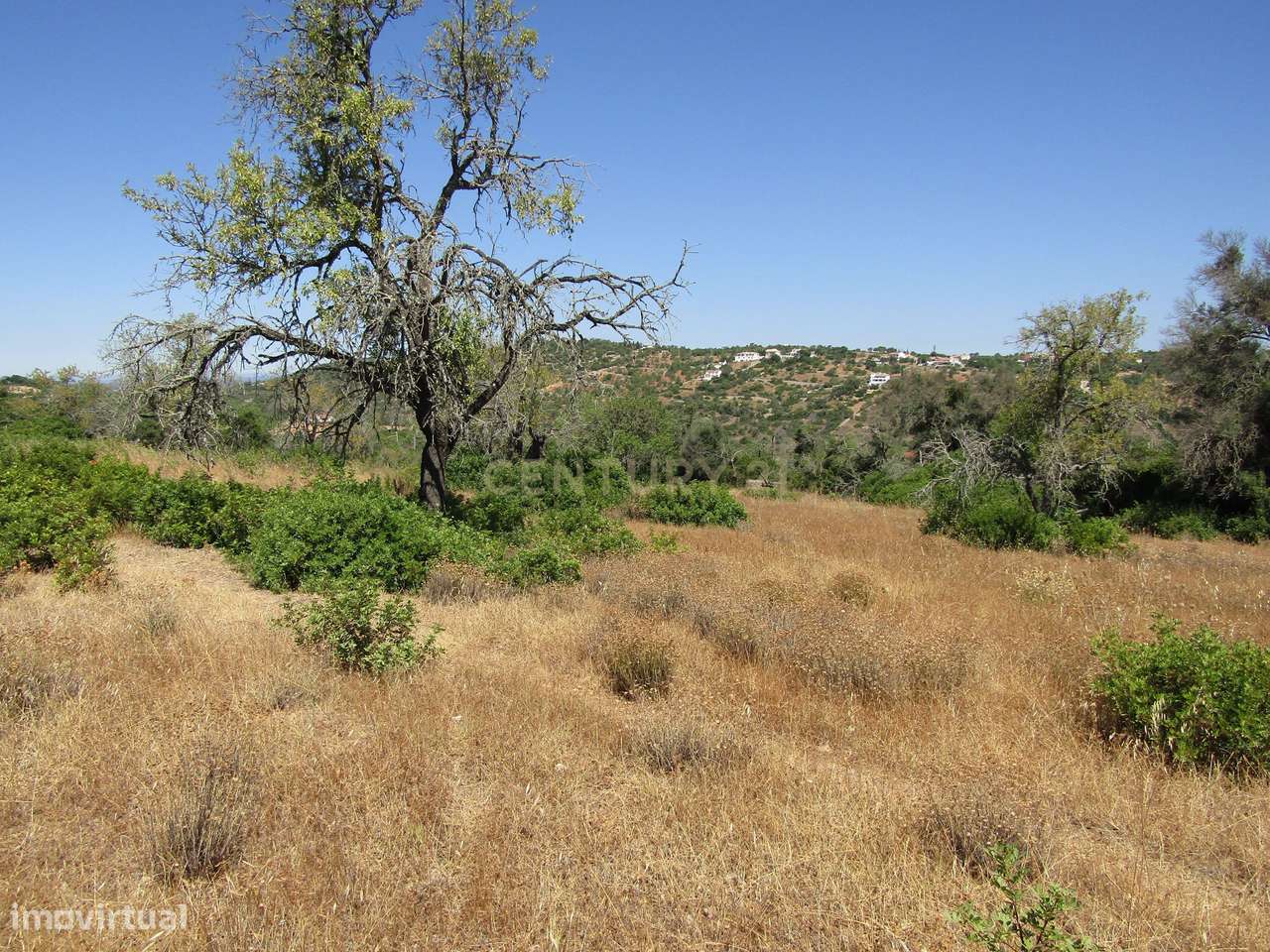 Terreno Rústico - Grande imagem: 4/10
