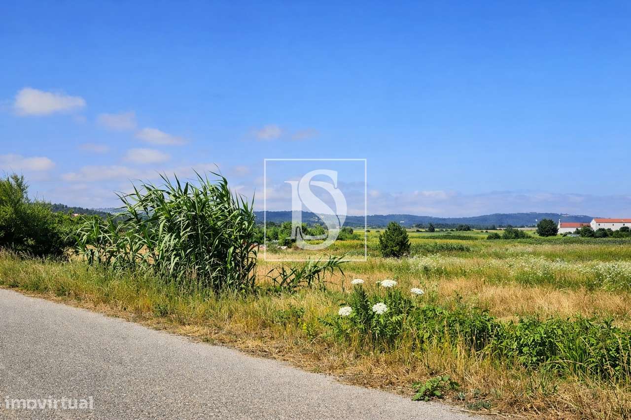Terreno Para Construção  Venda em Alqueidão,Figueira da Foz-19