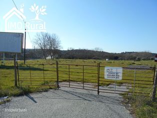 TERRENO RÚSTICO ARRAIOLOS 15.000,00 Eur - Grande imagem: 4/8