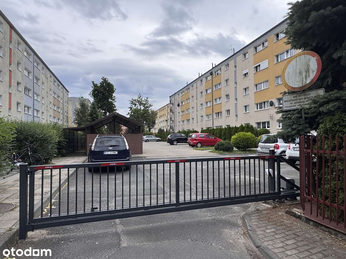 Ustawne, dwustronne, niezależny układ, duże możliwość aranżacji.-8