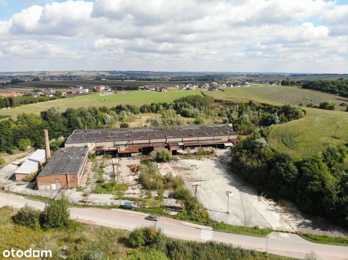 Działka, 93 400 m², Odonów - Pełny obrazek: 5/17