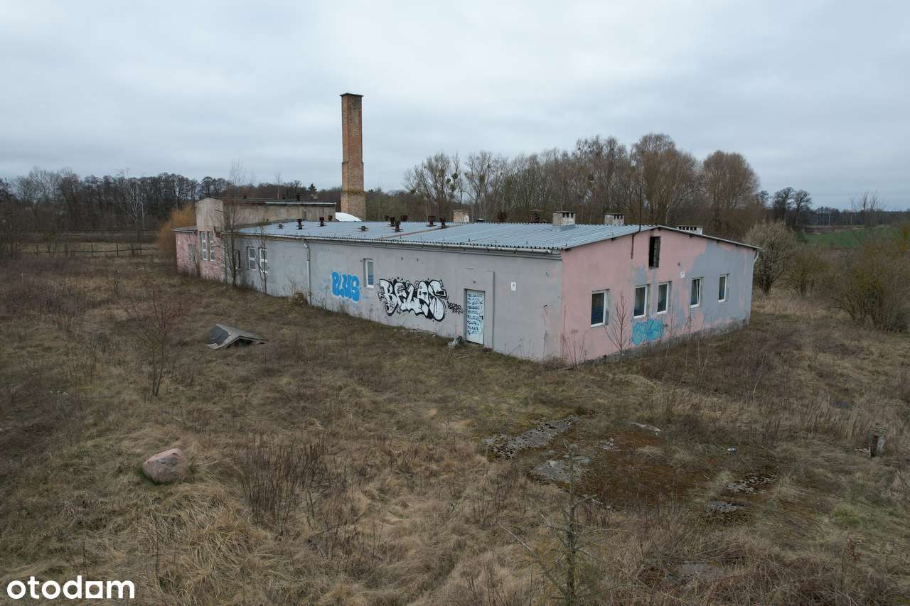 Teren idealny pod inwestycję Mieszkowice - Pełny obrazek: 3/3