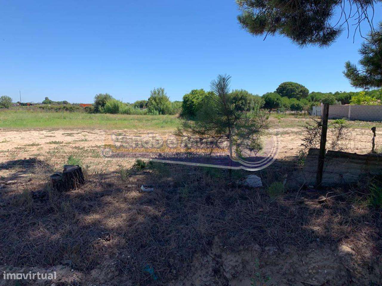 Terreno em Salvaterra de Magos (S500) - Grande imagem: 3/3