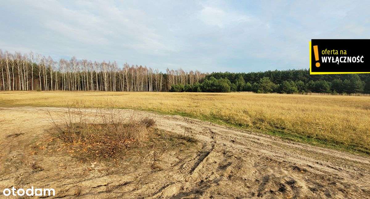 Działka blisko lasu.-9