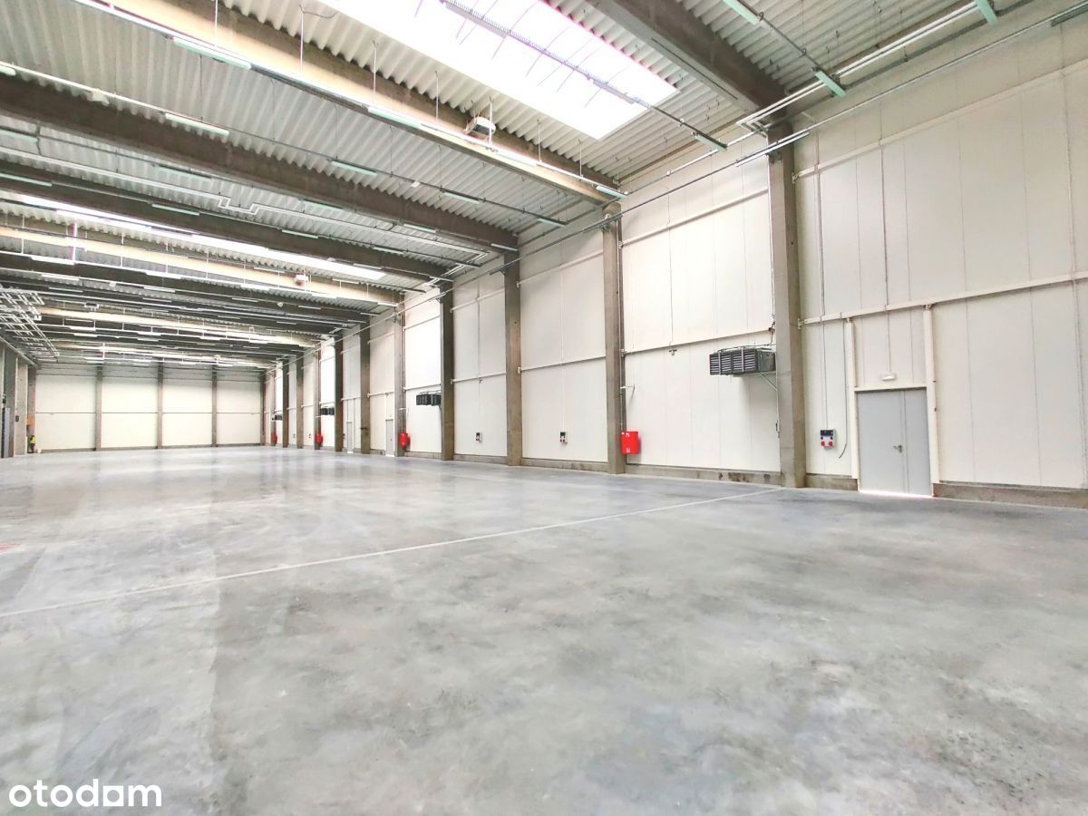 Magazyn 1220 m2 z biurem 139 m2 Nadarzyn