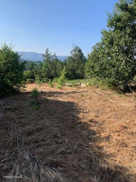 Quinta do Barreiro com 2 Casas para Recuperar-16