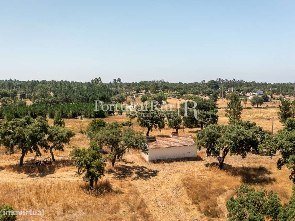 Quinta de 20ha com projeto para Turismo Rural a 1h de Lisboa-12