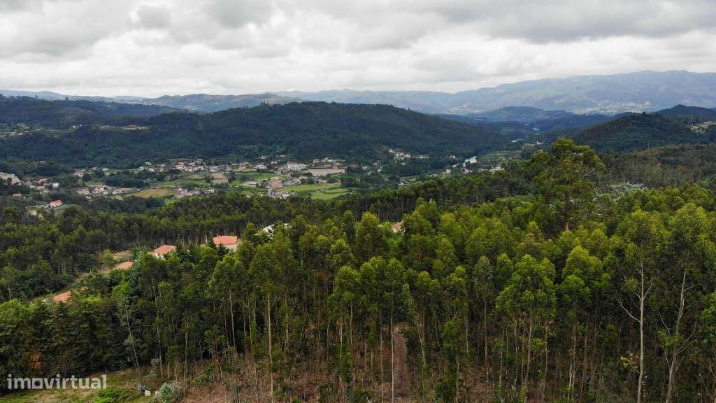 Terreno para Construção, com projeto aprovado para 34 lotes- Vieira do - Grande imagem: 4/7