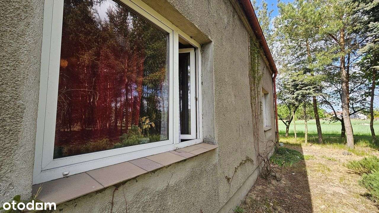 Siedlisko z potencjałem – Piotrków Kujawski, możliwość podziału-5