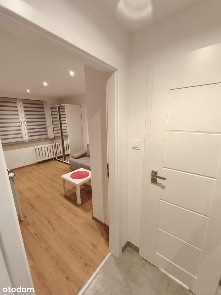 Do wynajęcia przestronne pokoje na Przedmieściu Oławskim we Wrocławiu - Pełny obrazek: 4/14