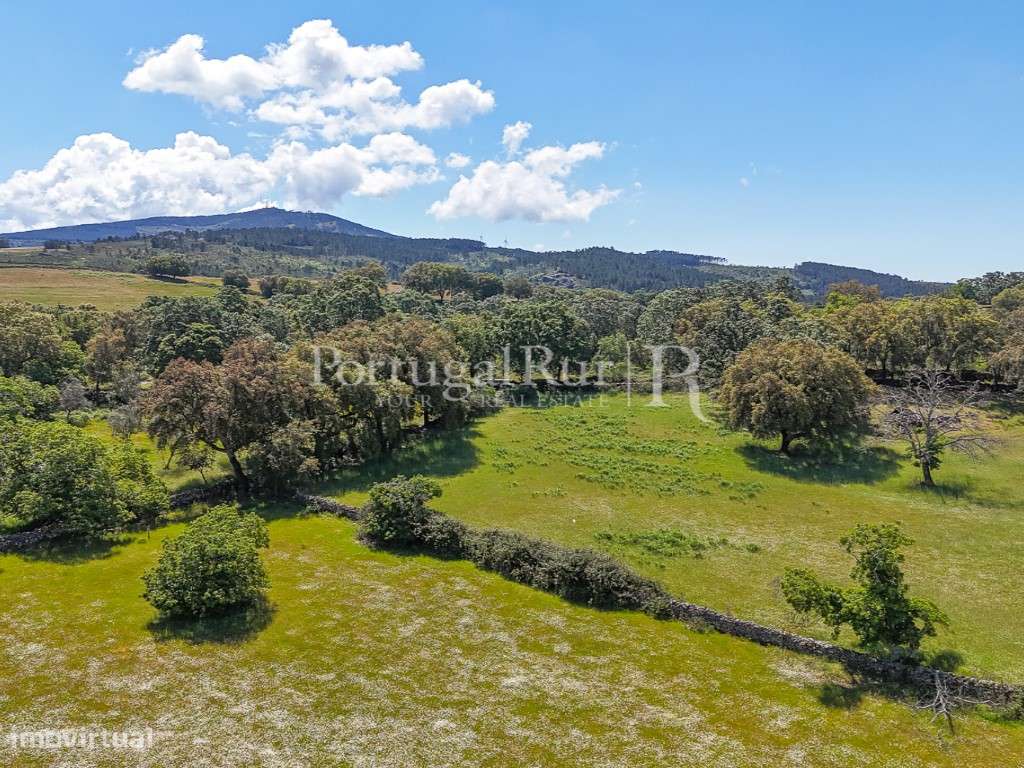 Quinta de 10 ha com projeto aprovado para 2 moradias em Marvão-4