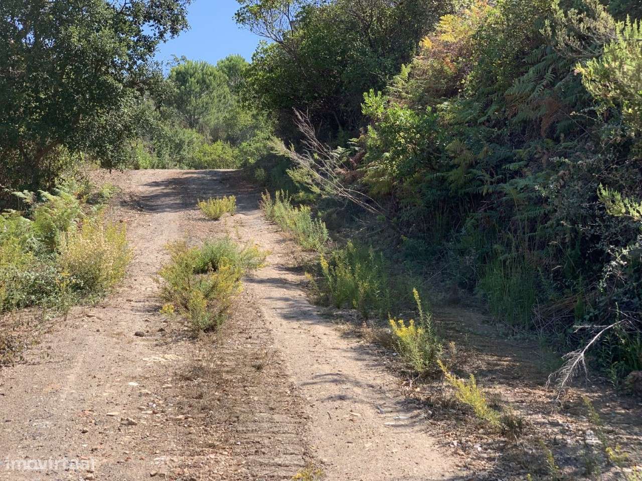 Quinta Monte da Ribeira - Grande imagem: 4/11