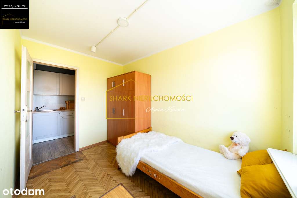 Perełka inwestycyjna na Winogradach! - Pełny obrazek: 2/20