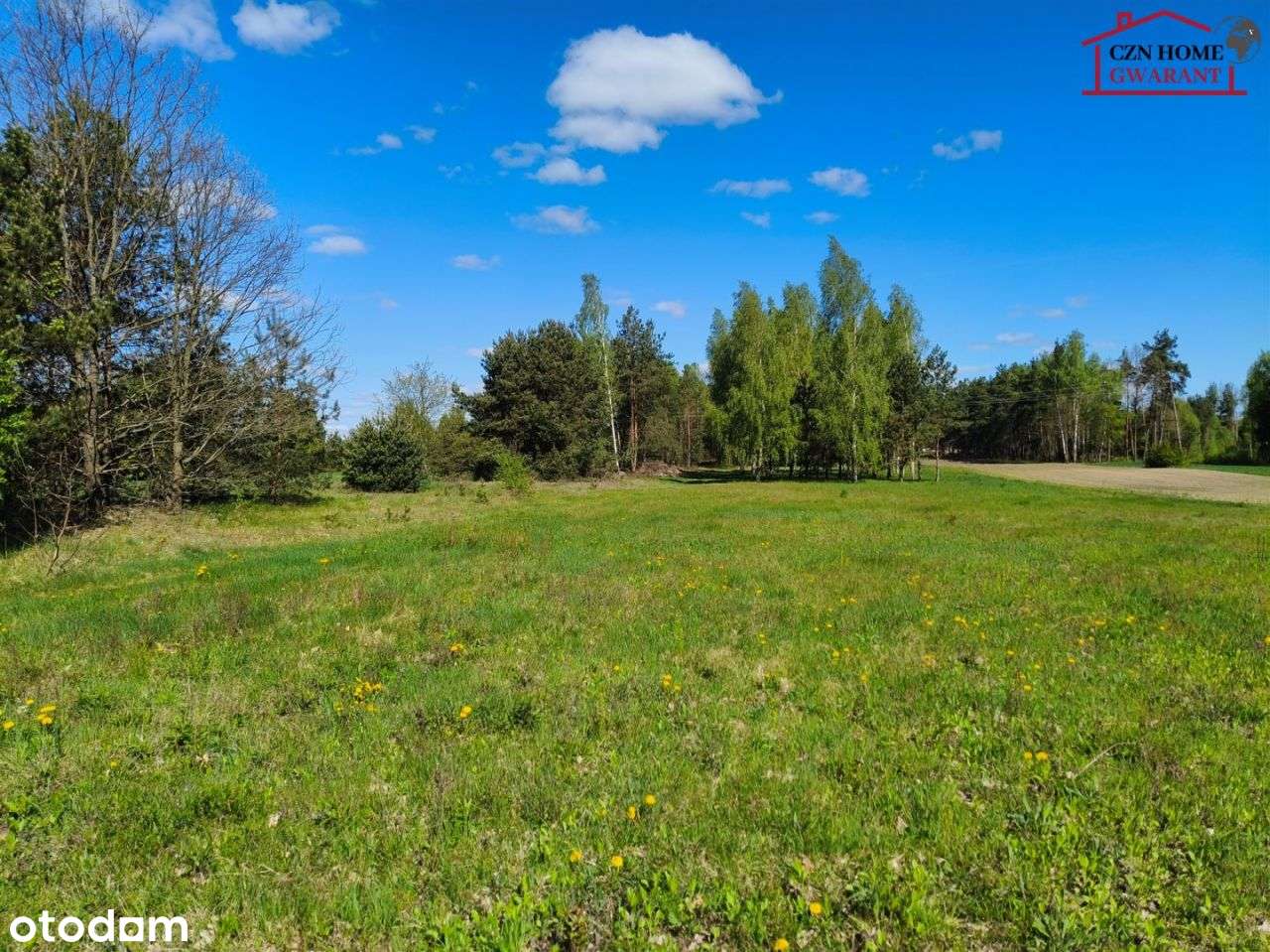 Działka, 900 m², Wola Paprotnia - Pełny obrazek: 5/8